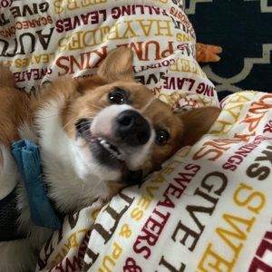 Meet your Posher, Lianne